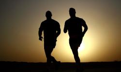 Featured image of post Training